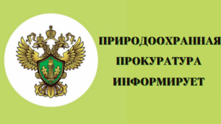 Ульяновская межрайонная природоохранная прокуратура разъясняет.. Ульяновская межрайонная природоохранная прокуратура разъясняет..