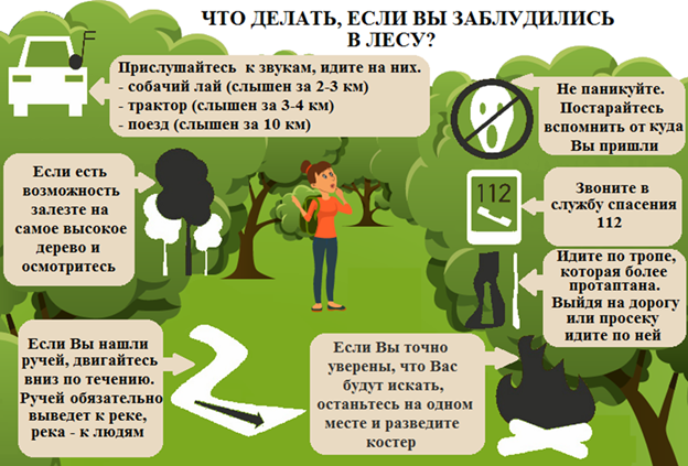 Если вы потерялись в лесу. Памятка. Если вы потерялись в лесу. Памятка.