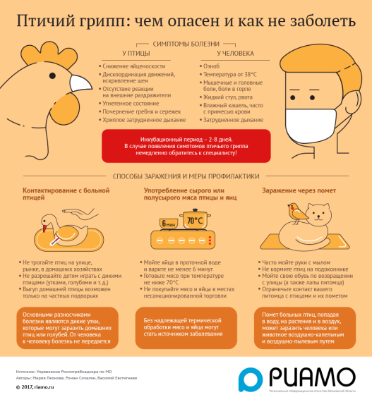 Памятка о гриппе птиц и методах его профилактики .. Памятка о гриппе птиц и методах его профилактики ..